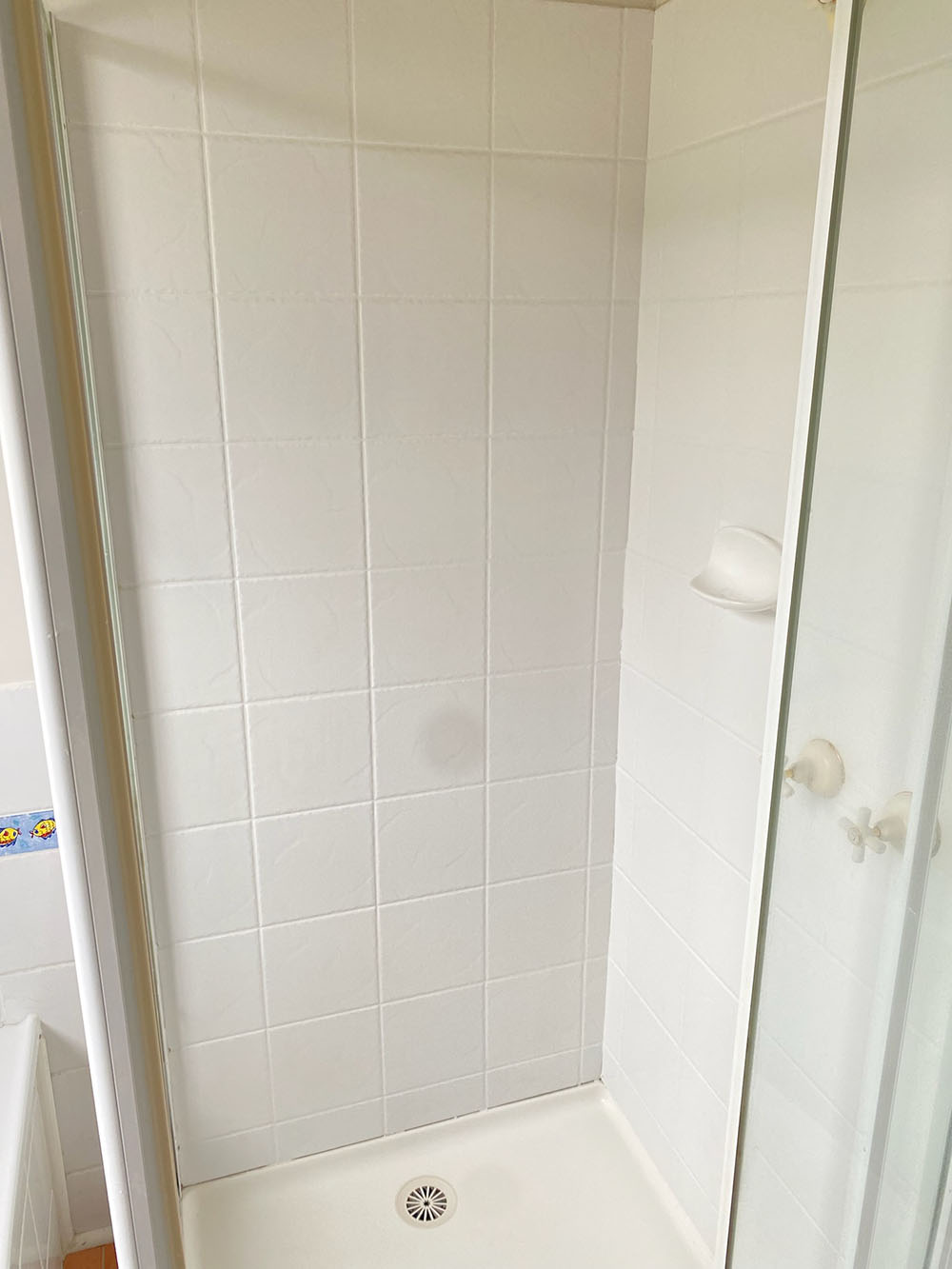 New epoxy grout in shower