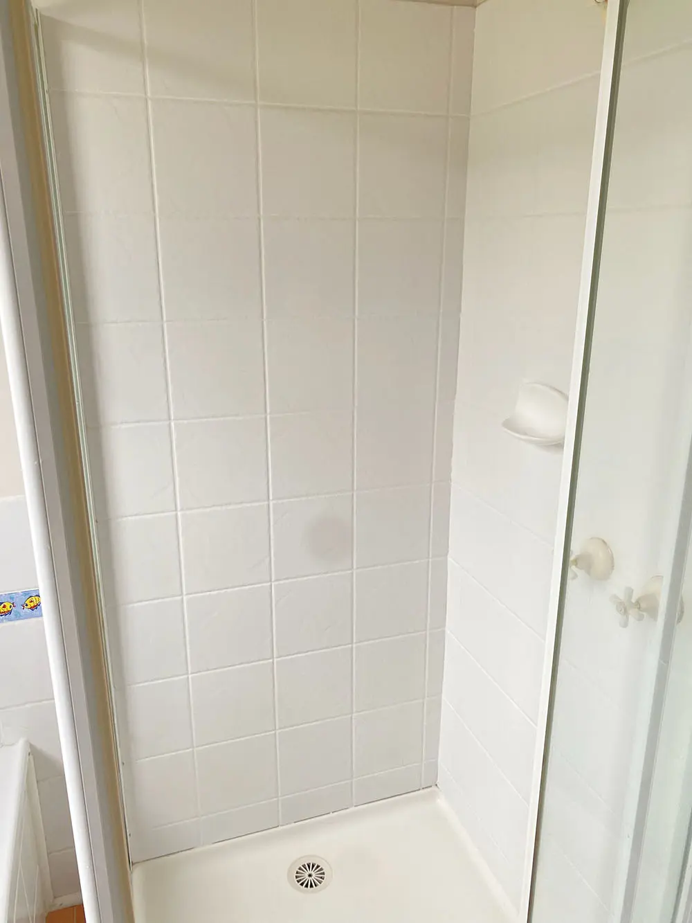 New epoxy grout in shower